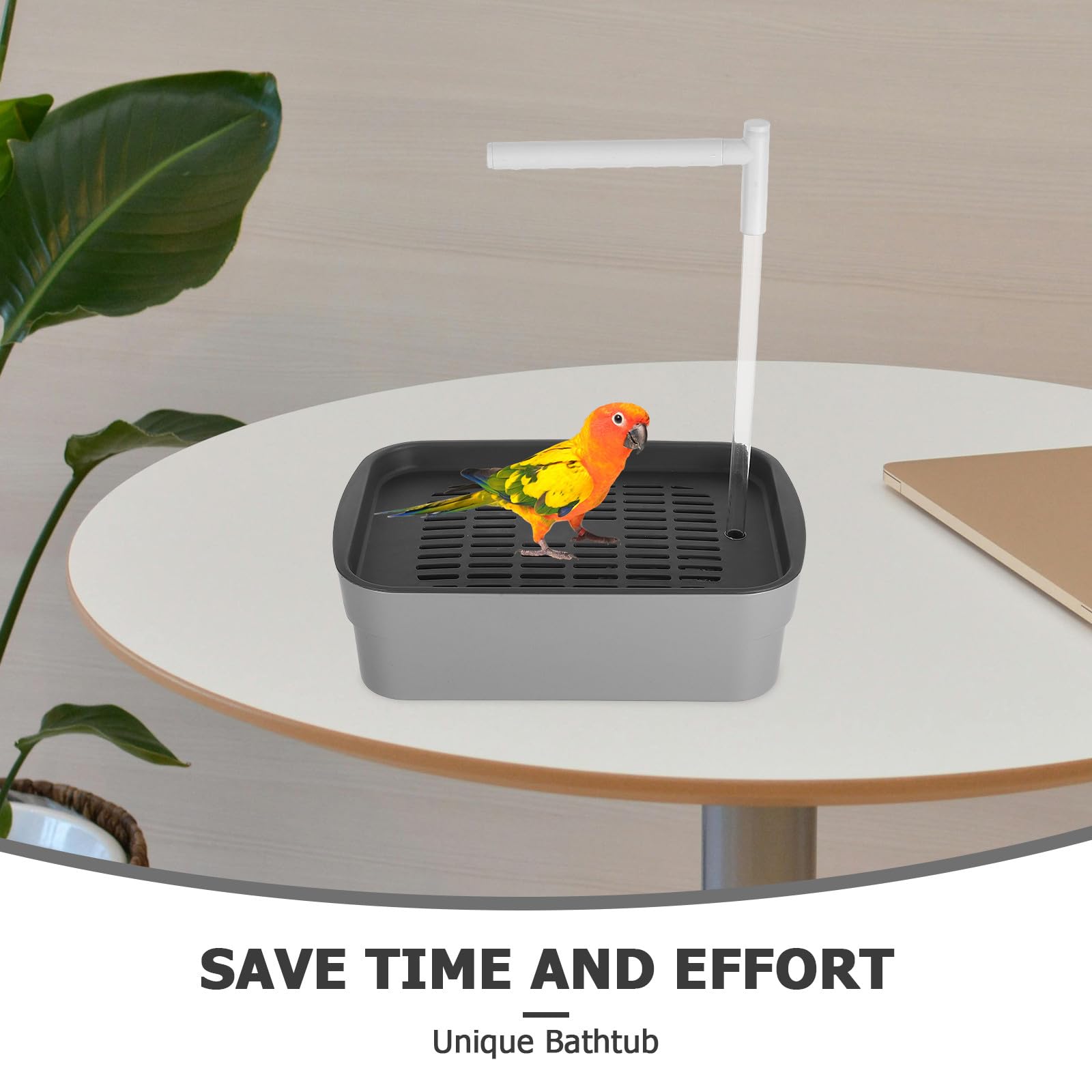 Bañera Automática Material Abs Resistente con Ducha para Pájaros para Periquitos y Cacatúas, Diseño Específico para Loros para Jaula de Aves