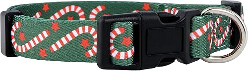 Miniatura 21 de Native Pup Collar de Perro de Halloween - Collares de Disfraz de Terror con Temática Espeluznante de Otoño - Calavera, Calabaza, Fantasma