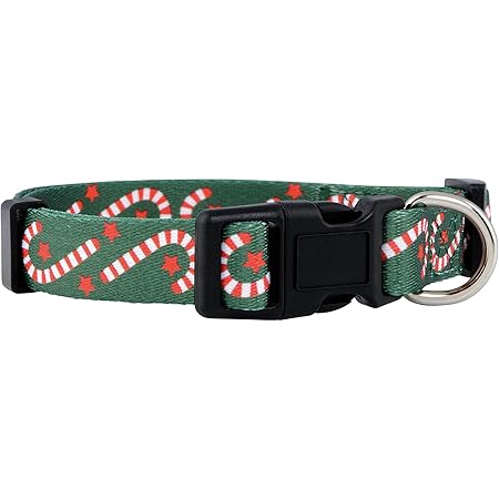 dog collars amazon prime