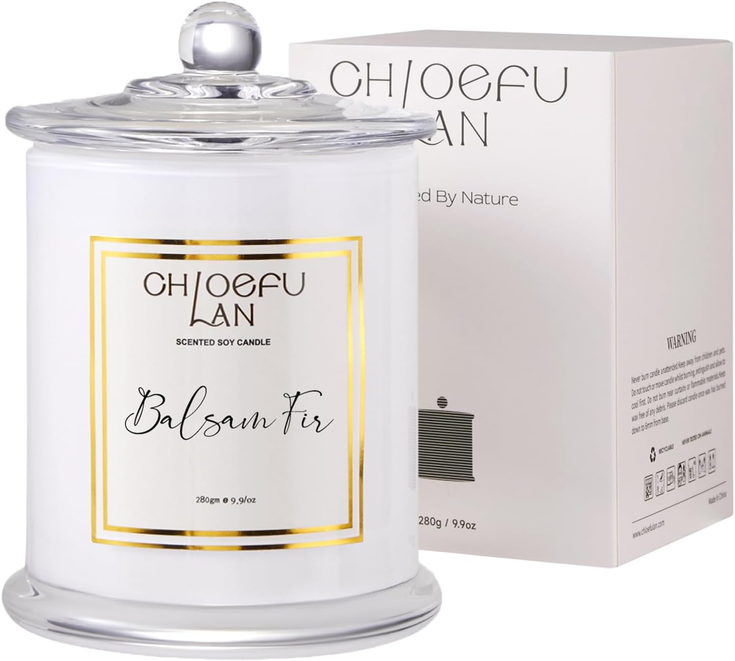 Balsam Fir