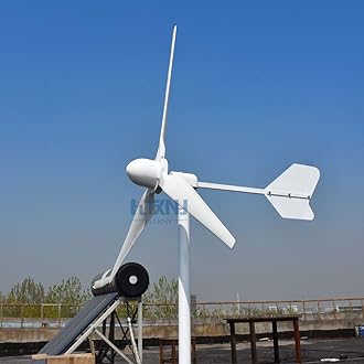 1000W 2000W 3000W Horizontal Wind Turbine 48v 96v 110V 120V 220V Generator for Home Use Free Energy Wind Power Windmill (48V, 3000W)
