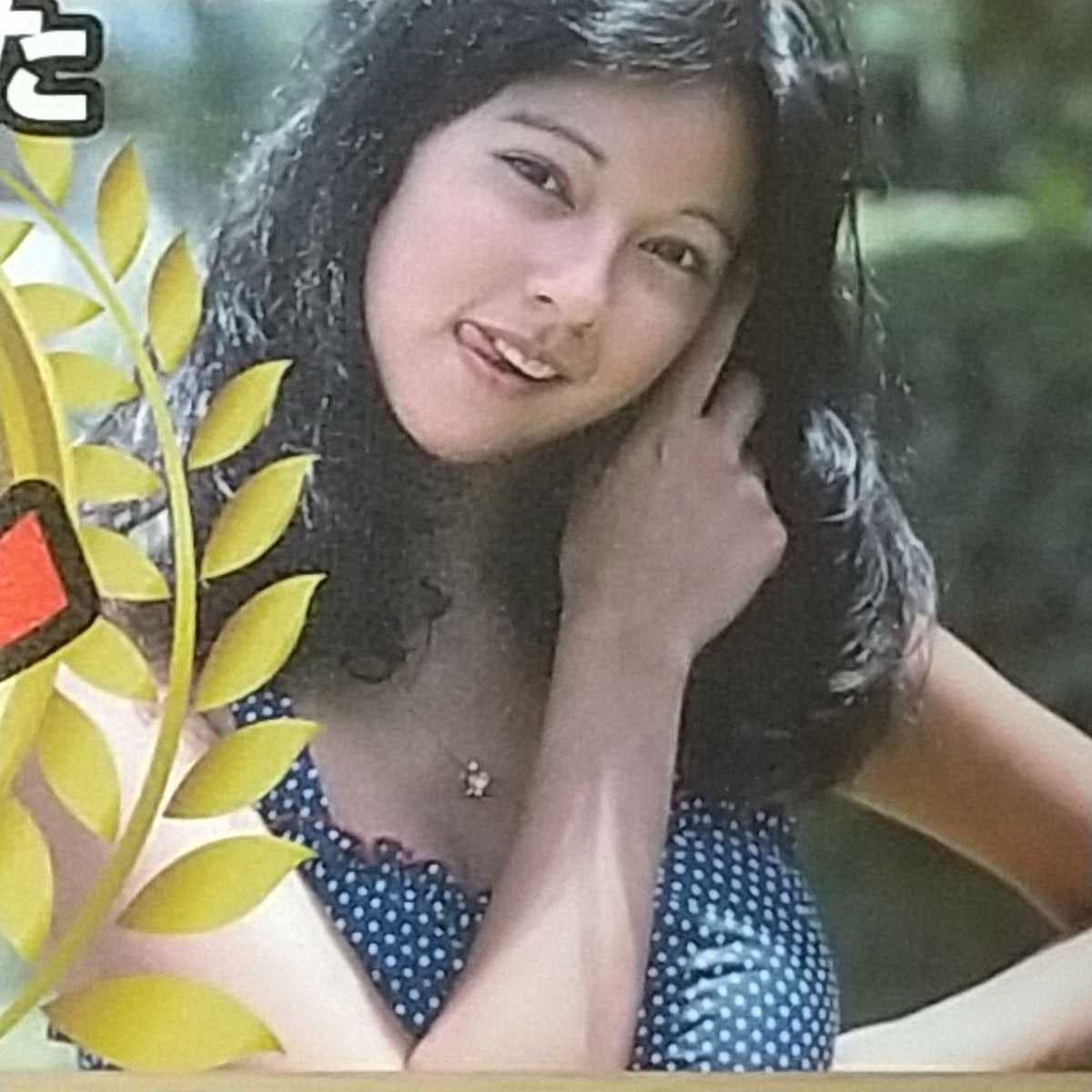 Amazon.co.jp: 1-757 ラミネート加工 昭和アイドルお宝水着グラビア 