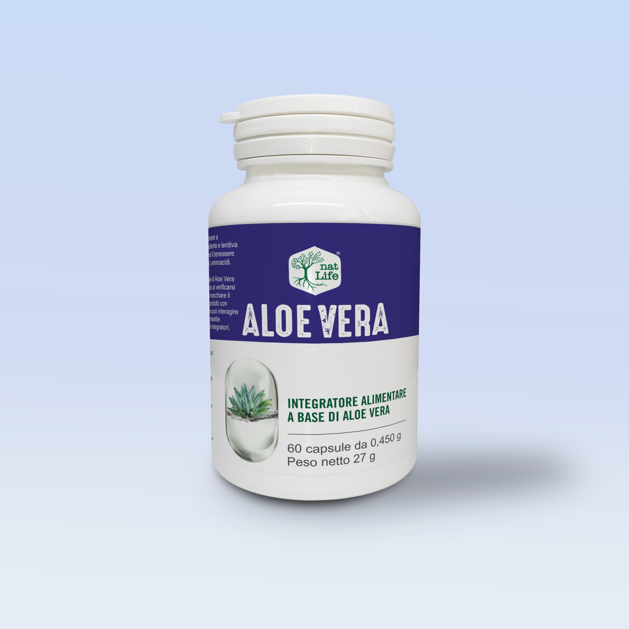 wie giesse ich aloe vera pflanze Aloe Vera Alfonso  Aloe-Vera-Pflanze in Grtnerqualitt kaufen