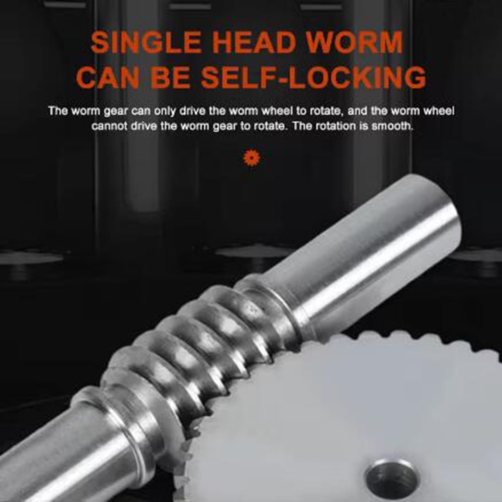 Set Vite senza Fine e Ruota per Ingranaggi (Worm Gear), 1 Modulo 55 Denti, Acciaio C45, per Trasmissione di Potenza, Riparazione Macchinari e Progetti Meccanici