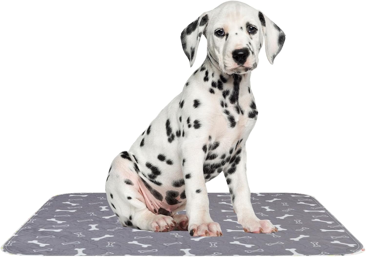 Pee Pads per cani, tappetino da allenamento ad assorbimento, riutilizzabili, lavabili, assorbenti, per scatola da viaggio rapido, lettiera, e gatto