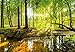 murimage Papel Pintado Bosque 366 x 254 cm Incluyendo Pegamento Fotomurales Vista...