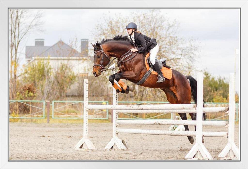 White Lady Rider With Horse