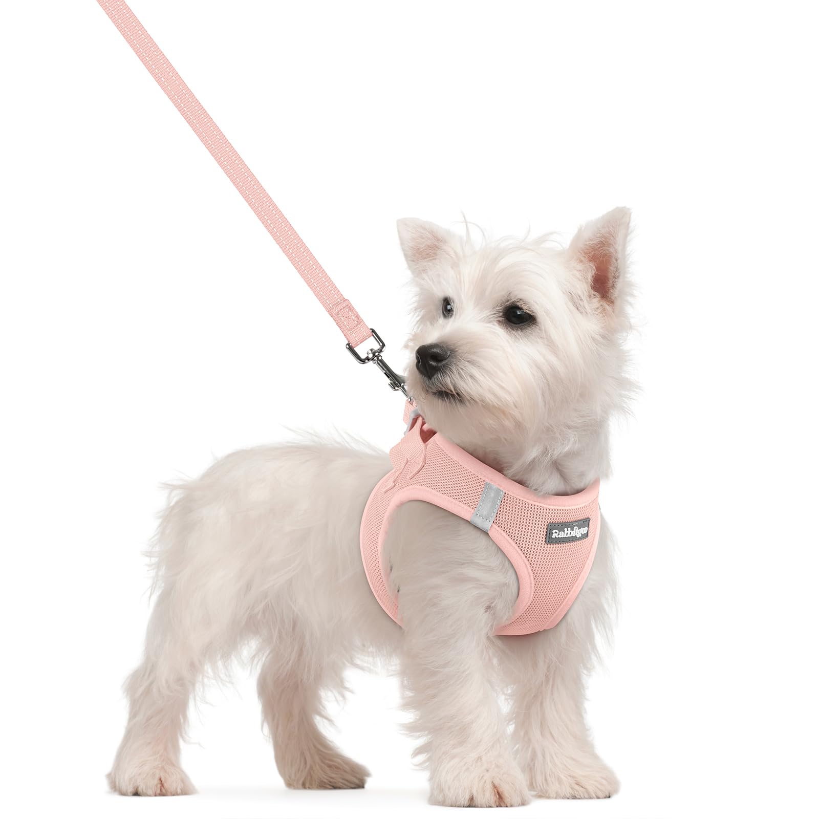 rabbitgoo Dog Harness Small Dog and Leash Set, Step-in Soft Mesh Puppy Harness with Reflective Strips, Lightweight Breathable Pet Vest for Walking Training, Pink, S