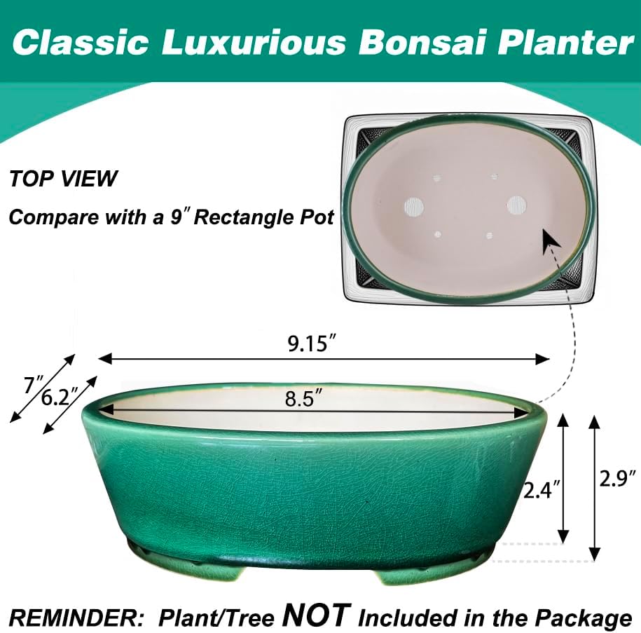 MUZHI 9” Glazed Oval Green Bonsai Planter Pot with Humidity Tray, Classic Neat Ice Crack Long Bonsai Tree Succulent Plant Pot with Saucer