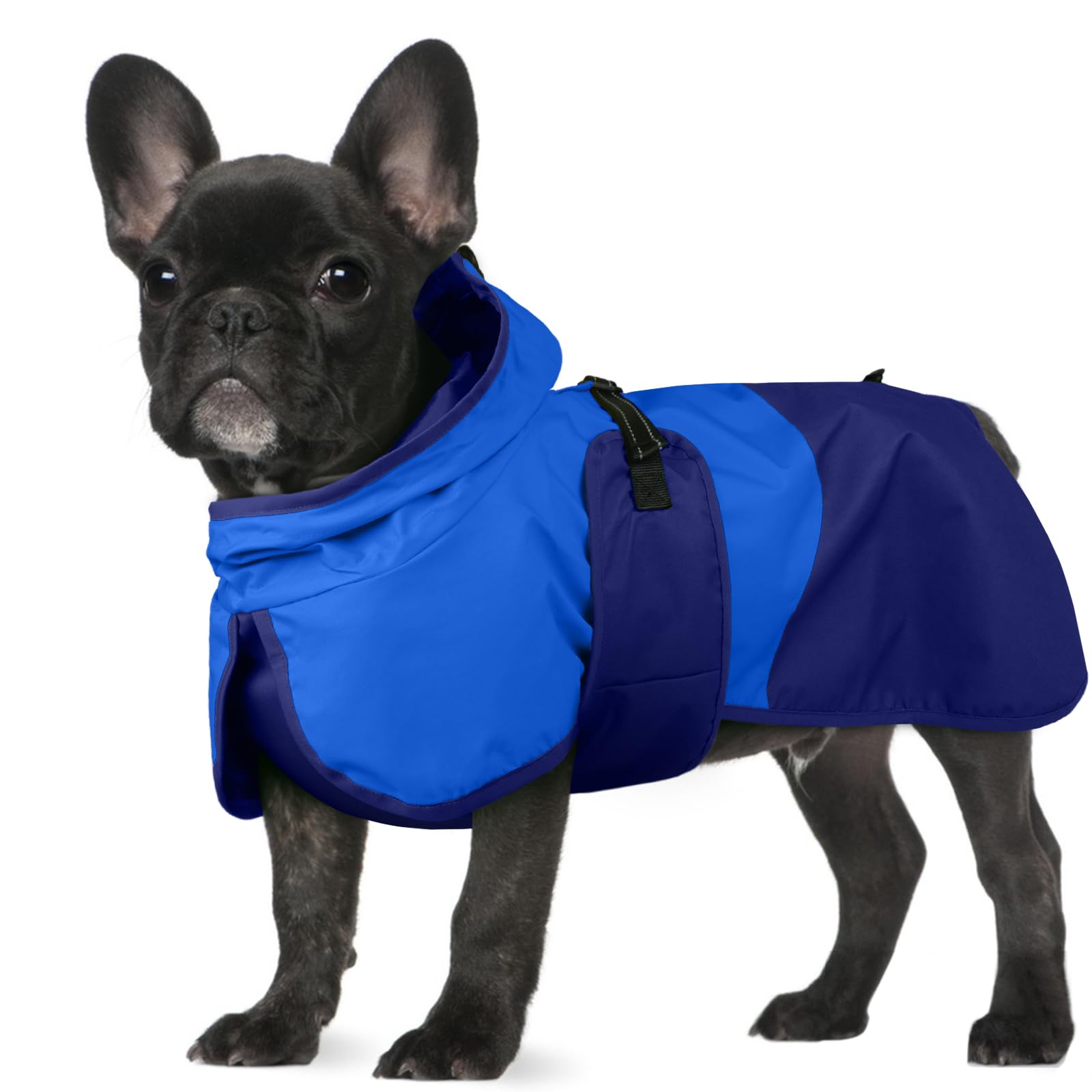 BRKURLEG Dog Raincoat Adjustable Dog Rain Jacket with Hood Dogs Waterproof Rainproof Jacket with Leash Hole Pet Poncho Rain Coat Poncho with Reflective Strip, Blue, S