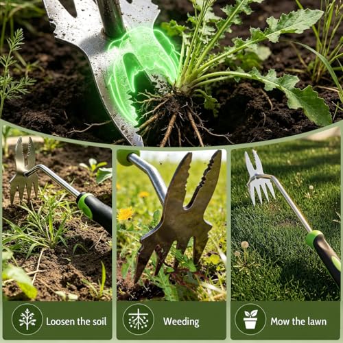 2-in-1 Stainless Steel Garden Weeder Puller, Heavy-Duty Weeding Tool with 4 Forked & Double Hook Teeth, Ideal for Lawns, Patios & Flower Beds, for Weeding, Tilling & Soil Loosening (Green-Small) - Image 5