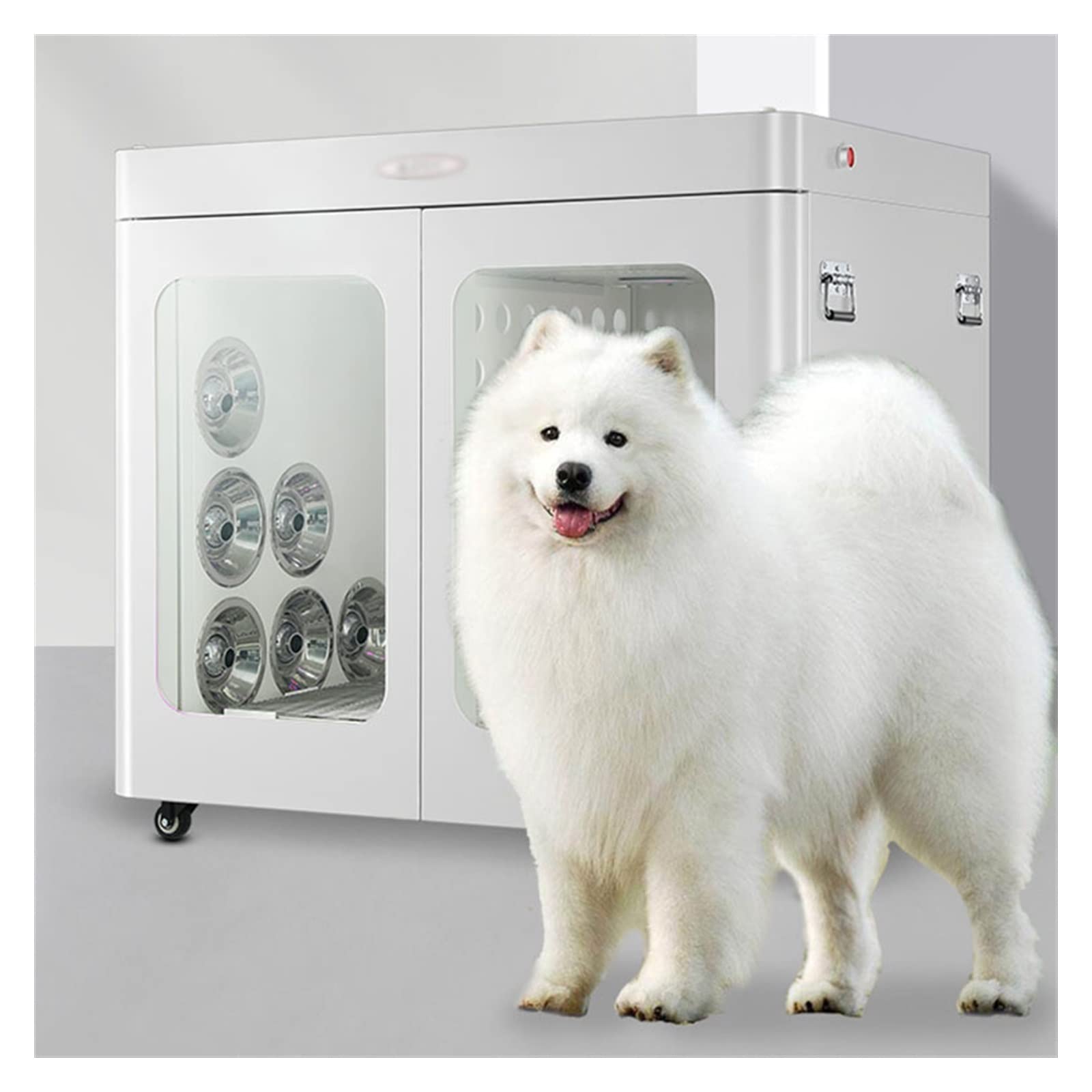 Essiccatore per animali domestici Scatola di asciugatura for animali domestici Negozio di animali domestici Bagno che soffia acqua Automatico intelligente Cani e gatti Asciugatrice silenziosa Asciugat