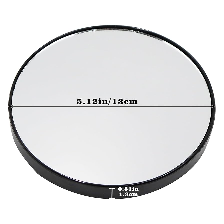 Amazon.co.jp: Jinkoozz 5.1インチ トカゲ ミラー おもちゃ