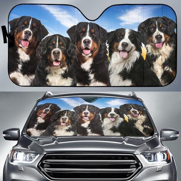 Pare soleil voiture Bouvier Bernois universel pour pare-brise de SUV taille L