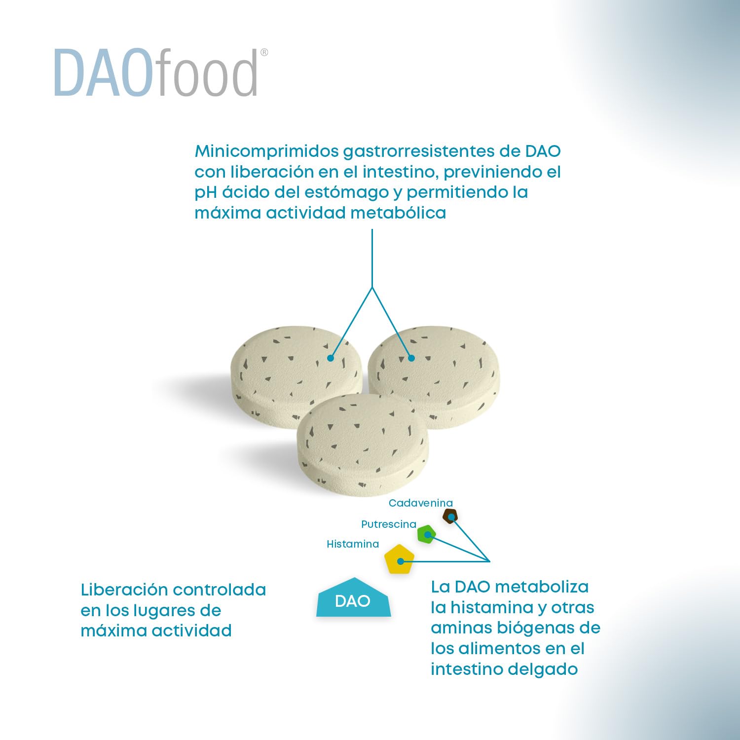 Pack DAOfood + DAOfood Plus – Suplemento Enzimático DAO para Intolerancia a la Histamina y Déficit de Diamino Oxidasa – Cápsulas Gastroresistentes con Quercetina y Vitamina C – Bienestar Digestivo