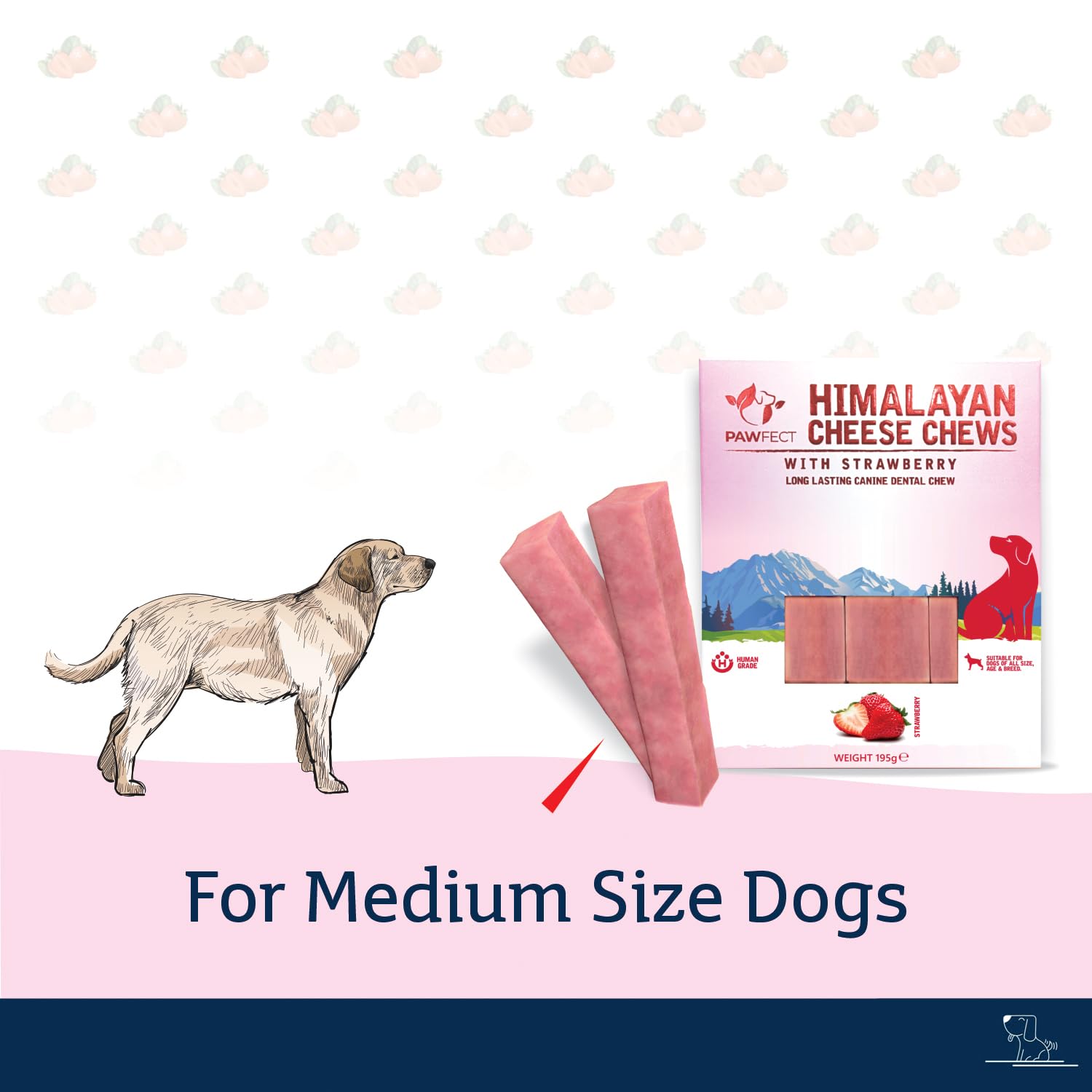 Pawfect Himalayan Yak Cheese Chews with Real Strawberry for Medium Dogs- 100% Natural Dental Stick- Cleans Teeth- Plaque Off and Tartar Control -High Protein - Image 3