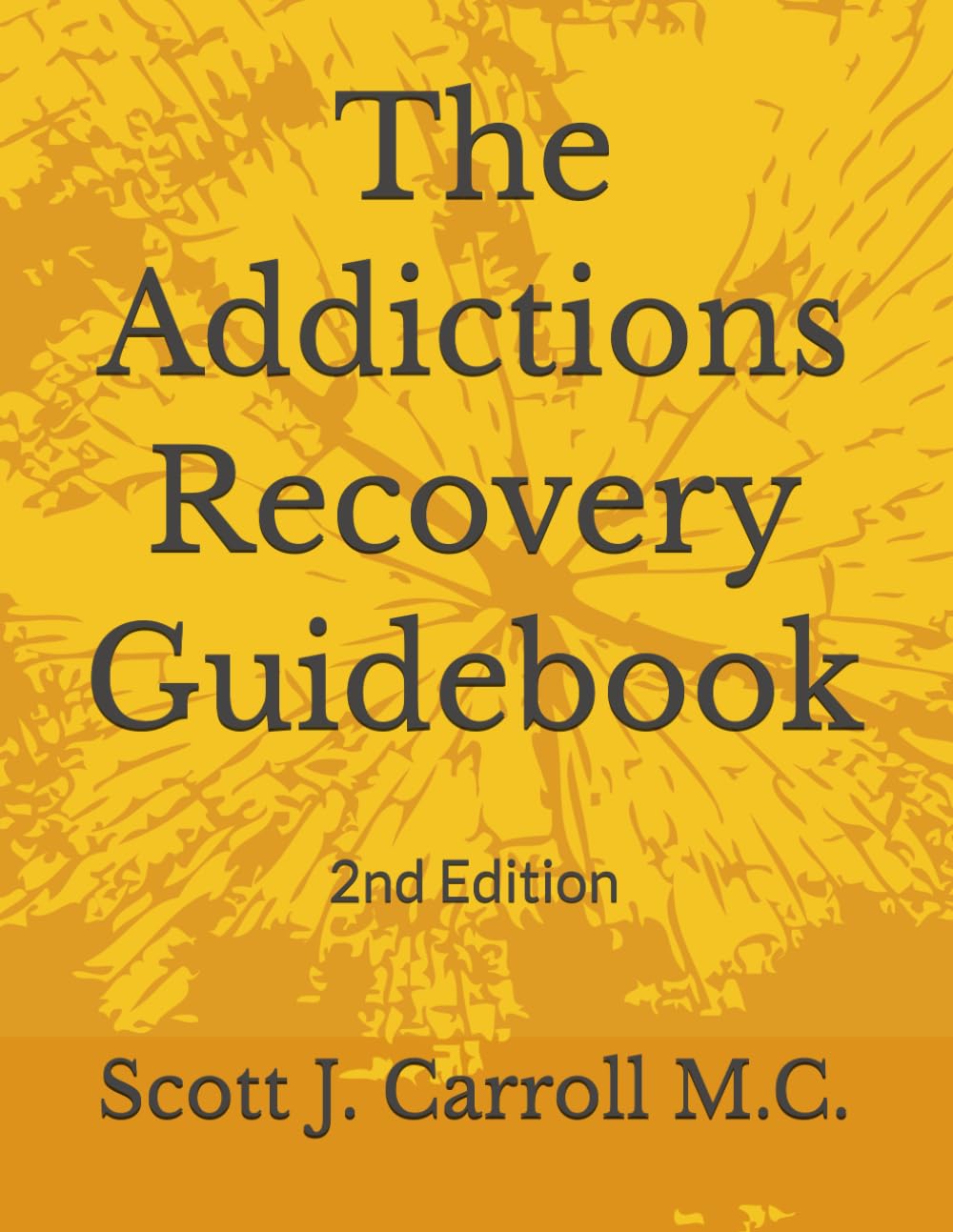 The Addictions Recovery Guidebook: 2nd Edition