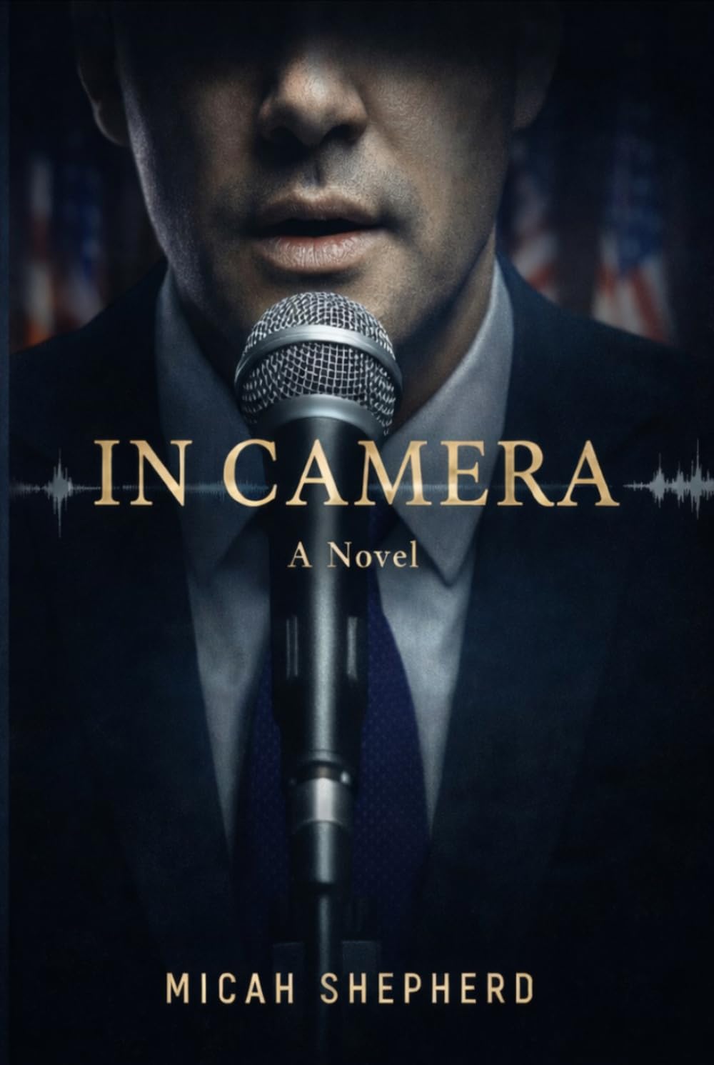 In Camera (Windy City Justice)