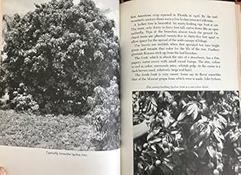 Hardcover Nuts from forest, orchard, and field Book