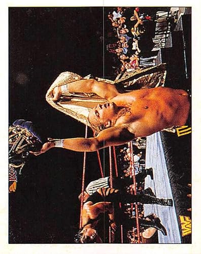 1997 Panini WWF Superstar Stickers Wrestling #153 Triple H/Chyna RC Rookie Sticker Official WWF World Wrestling Federation Album Sticker Measuring 2