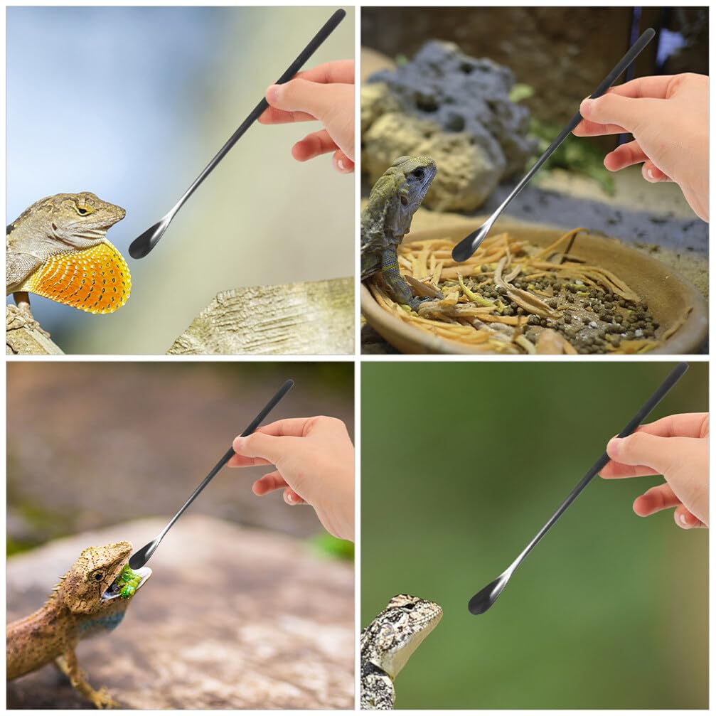 Amazon.co.jp: FOMIYES 爬虫類 フード スプーン、 3個 パウダー