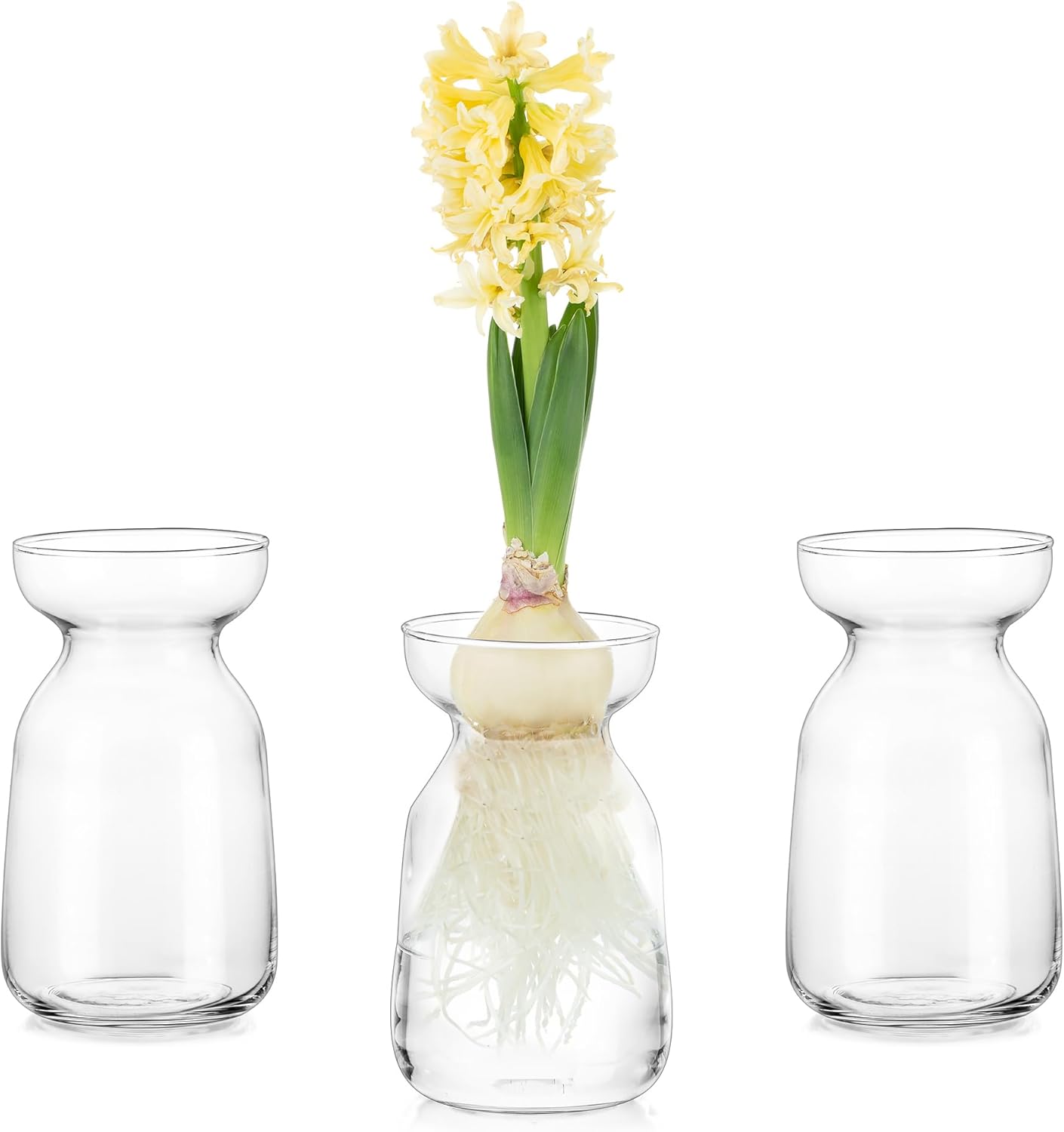 Glasseam Clear Glass Vase Set of 3, Hyacinth Bulb Forcing Vase for Flowers, Modern Small Vases