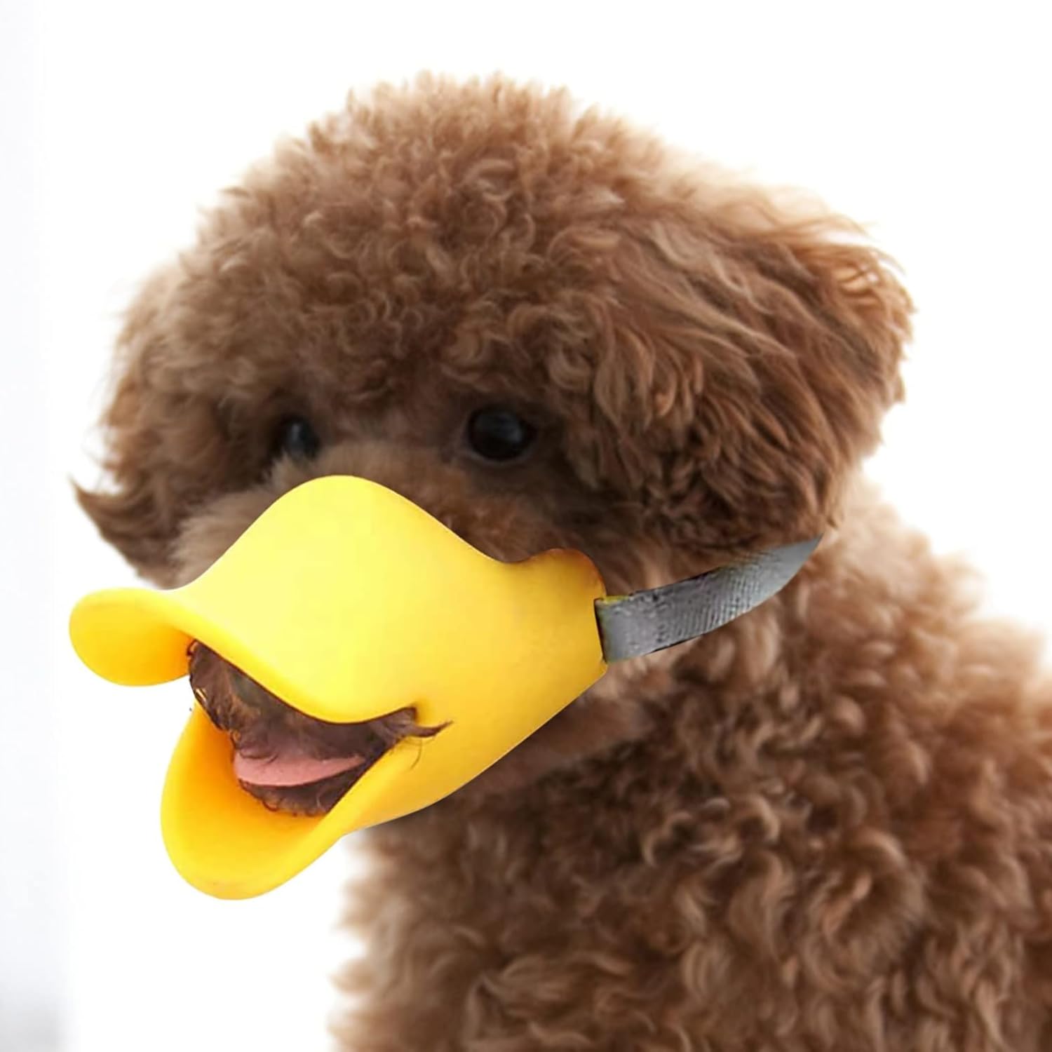 Pets Empire Anti Bite Stop Barking Dog Muzzle Duck Muzzle Mask for Dogs Pet Mouth Cover 1 Piece (Color May Vary) (Small)