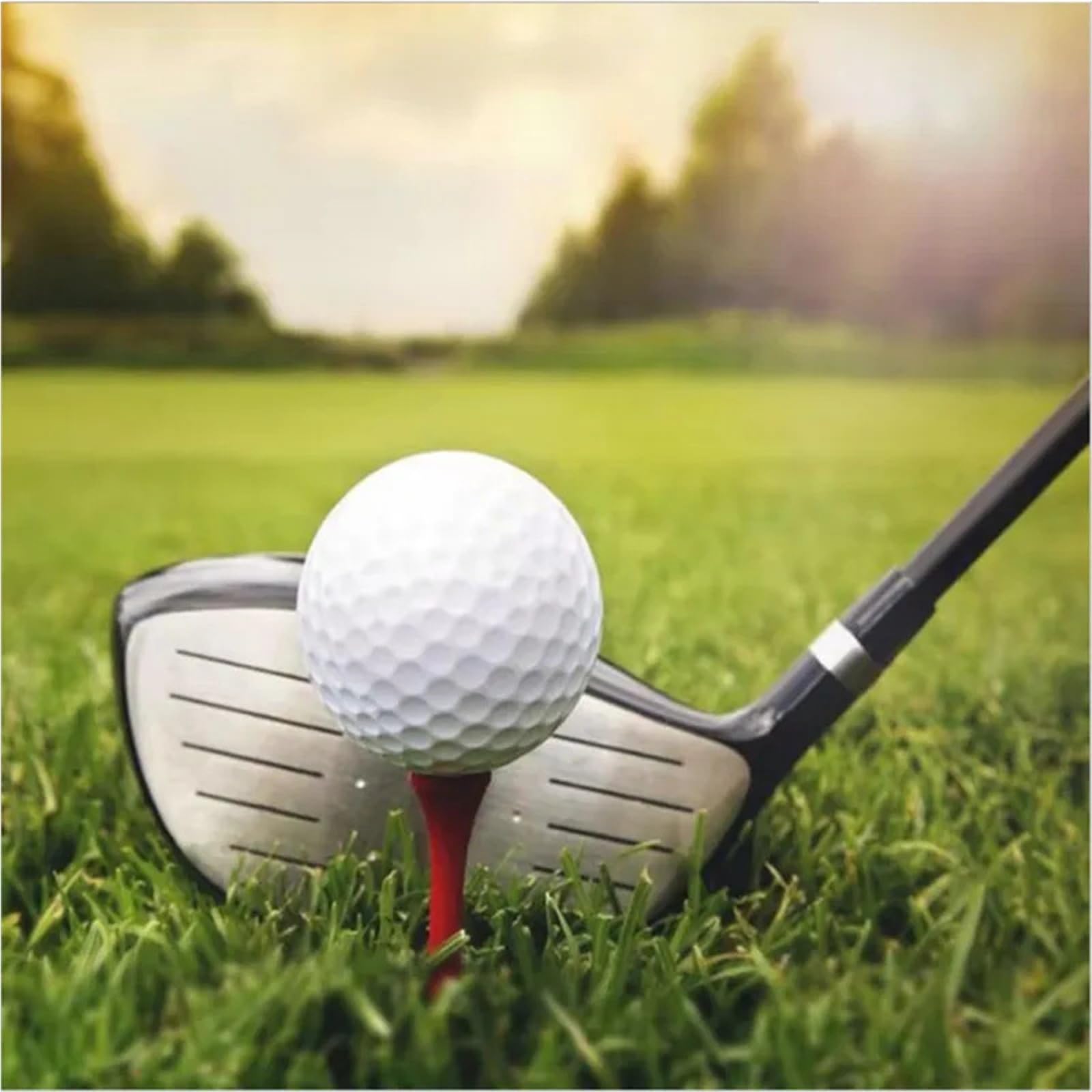 Generico Confezione da 50 Palline da Golf universali a 2 Strati, Rotazione Stabile e autonomia di Volo Lunga, for allenamenti di Golf Indoor e all'aperto e Giochi for Il Tempo Libero