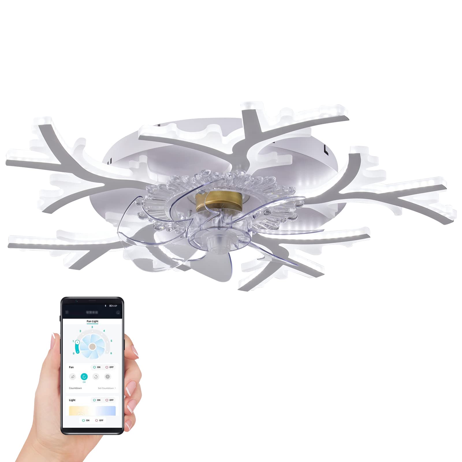 REYDELUZ Ceiling Fan with Lights,24In 80W,Remote Control 3 color temperatures,6 Gear Wind Speed fan light,Round Ceiling Lights with Fan for Bedroom,Living Room and Dining Room