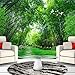 Msrahves Fotomural Vinilo Verde bosque de bambú hierba camino Fotomurales Fotomural Pared Fotomural Decorativo Vinilo Decorativo para la decoración de comedores, Salones Murales moderna Diseno Fotográ