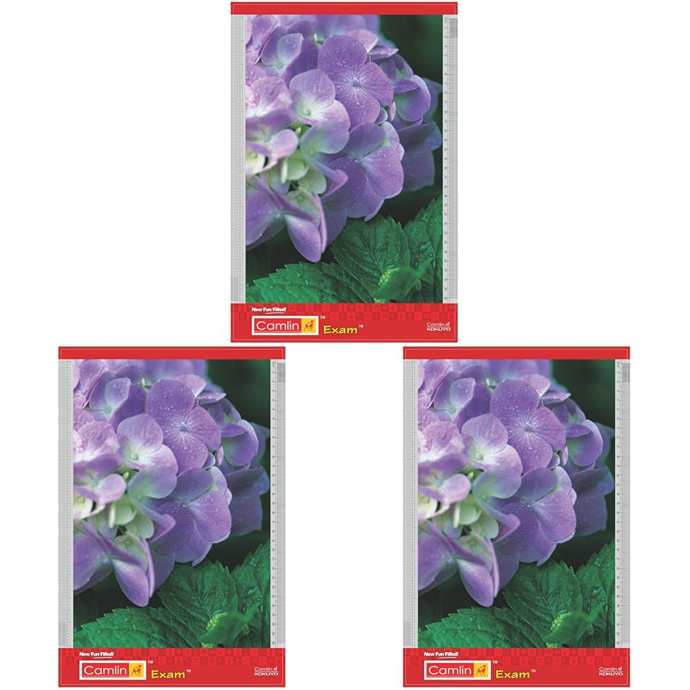 Camlin Kokuyo Exam Clip Board (Pack of 3)