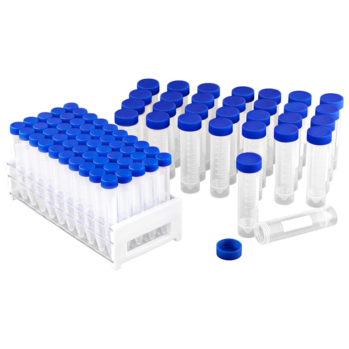 Mobestech 81pezzi Provette in Plastica Con Coperchio Per Esperimenti Scientifici Inclusi Con Portaprovette Adatte Per Laboratorio Scuola e Uso Quotidiano