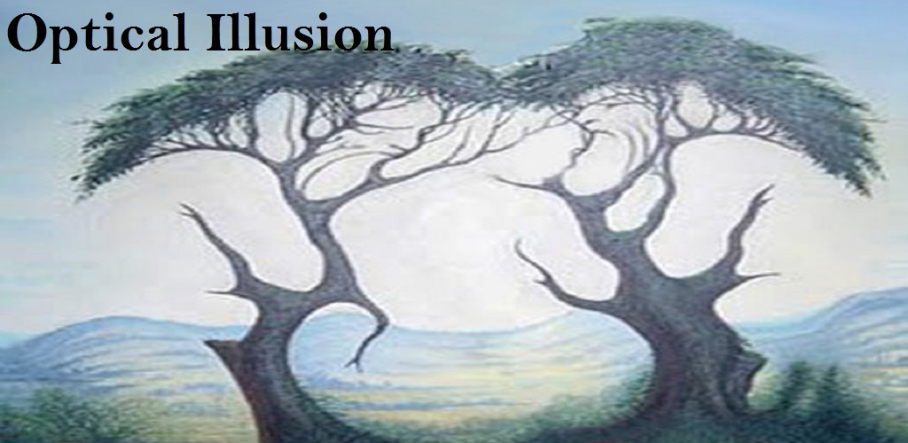 希少　A Journey Through Illusions 希少 A Journey Through Illusions 希少 A Journey Through Illusions