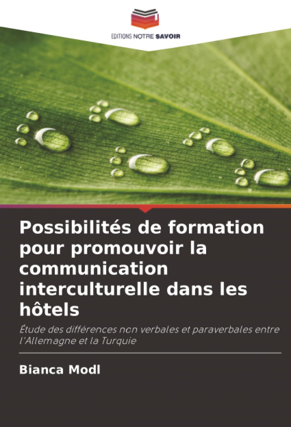 Possibilités de formation pour promouvoir la communication interculturelle dans les hôtels: Étude des différences non verbales et paraverbales entre l'Allemagne et la Turquie