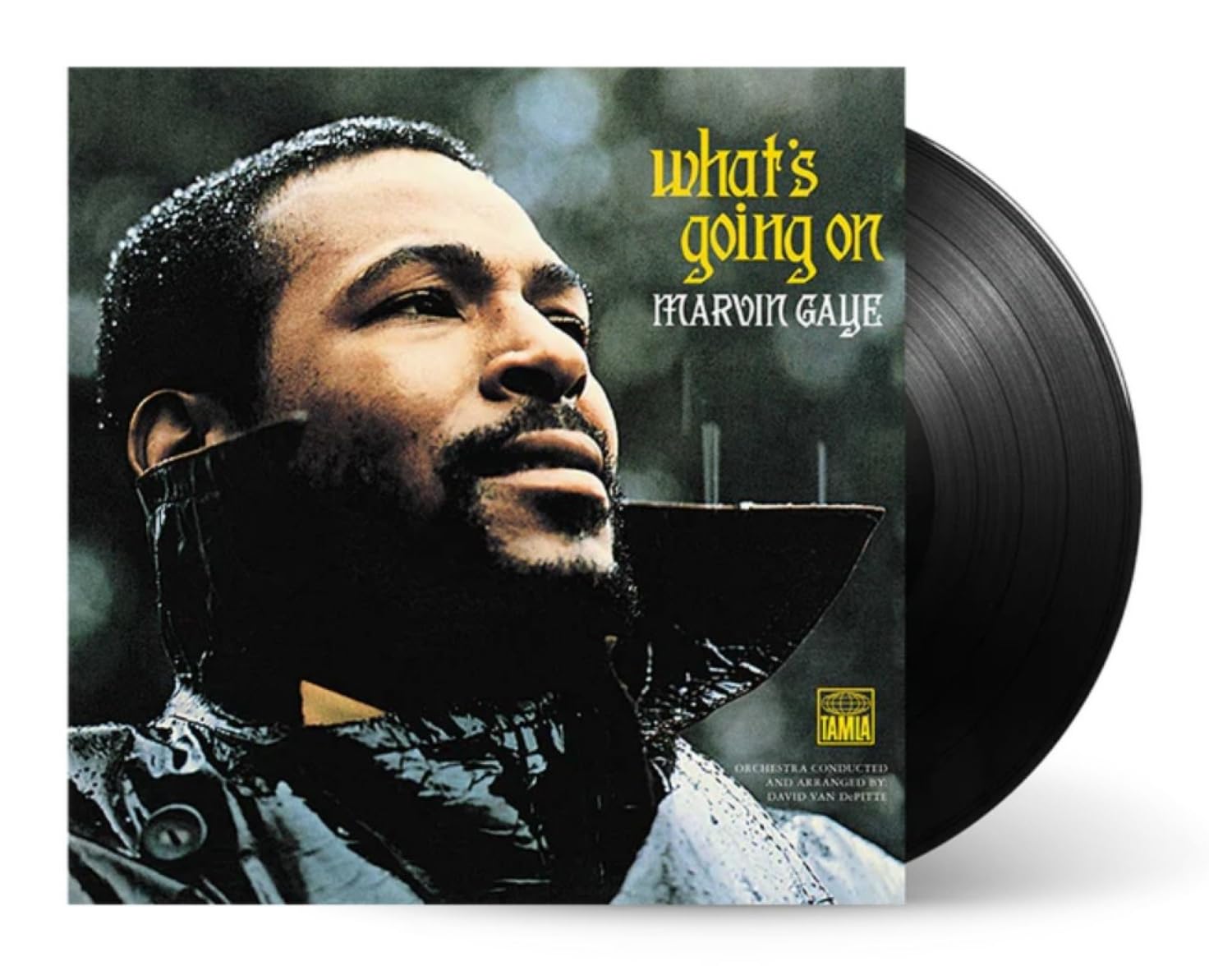 Marvin Gaye: What's Going On? - Limited Pressing Record Album