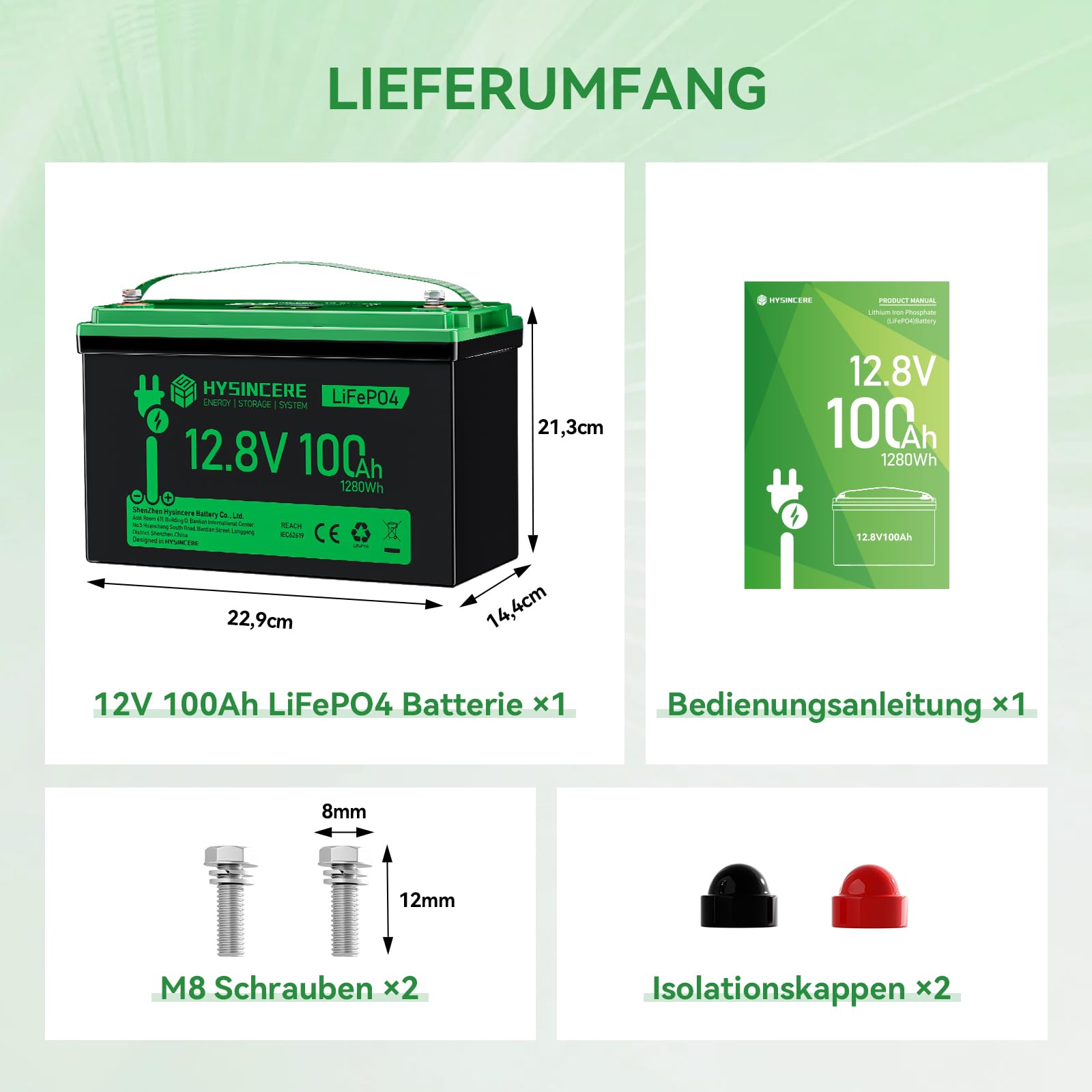 12V 100Ah LiFePO4 Lithium Batterie mit LED, Max.15000 Zyklen & 100A Intelligente BMS, 12 Volt Deep Cycle Akku 1280Wh Wiederaufladbare für Wohnmobil, Camping, Solar Home Systeme, Boote