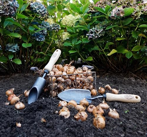 DeWit Crocus Bulb Planter herramienta manual miniatura 4