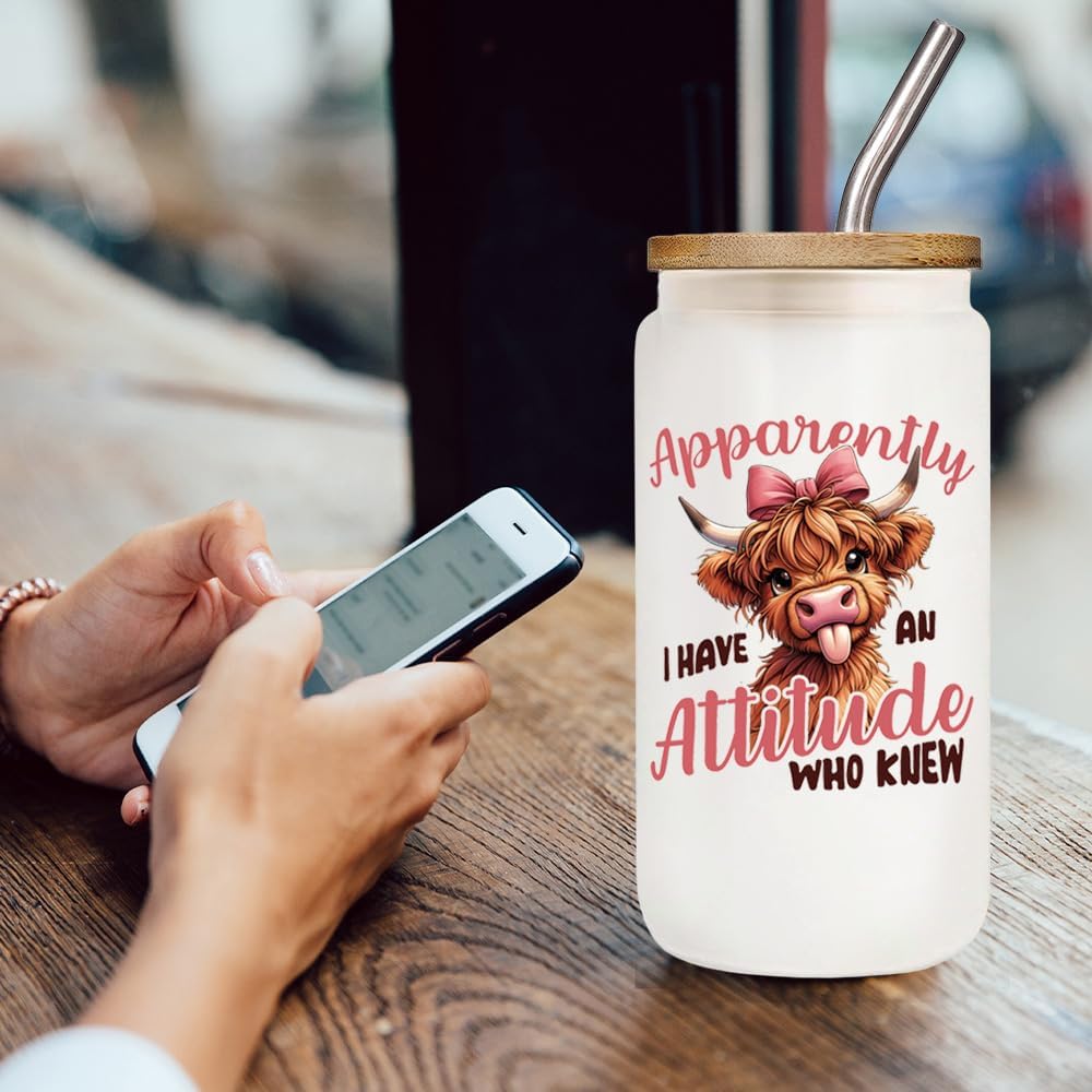 Funny Highland Cows Cup 16oz Frosted Glass Coffee Cups with Lids and Straws Christmas Gift for Women Highland Cow Lovers, Cows Cattle Print Stuff Gifts for Girls Cattle Cow Christmas, Birthday