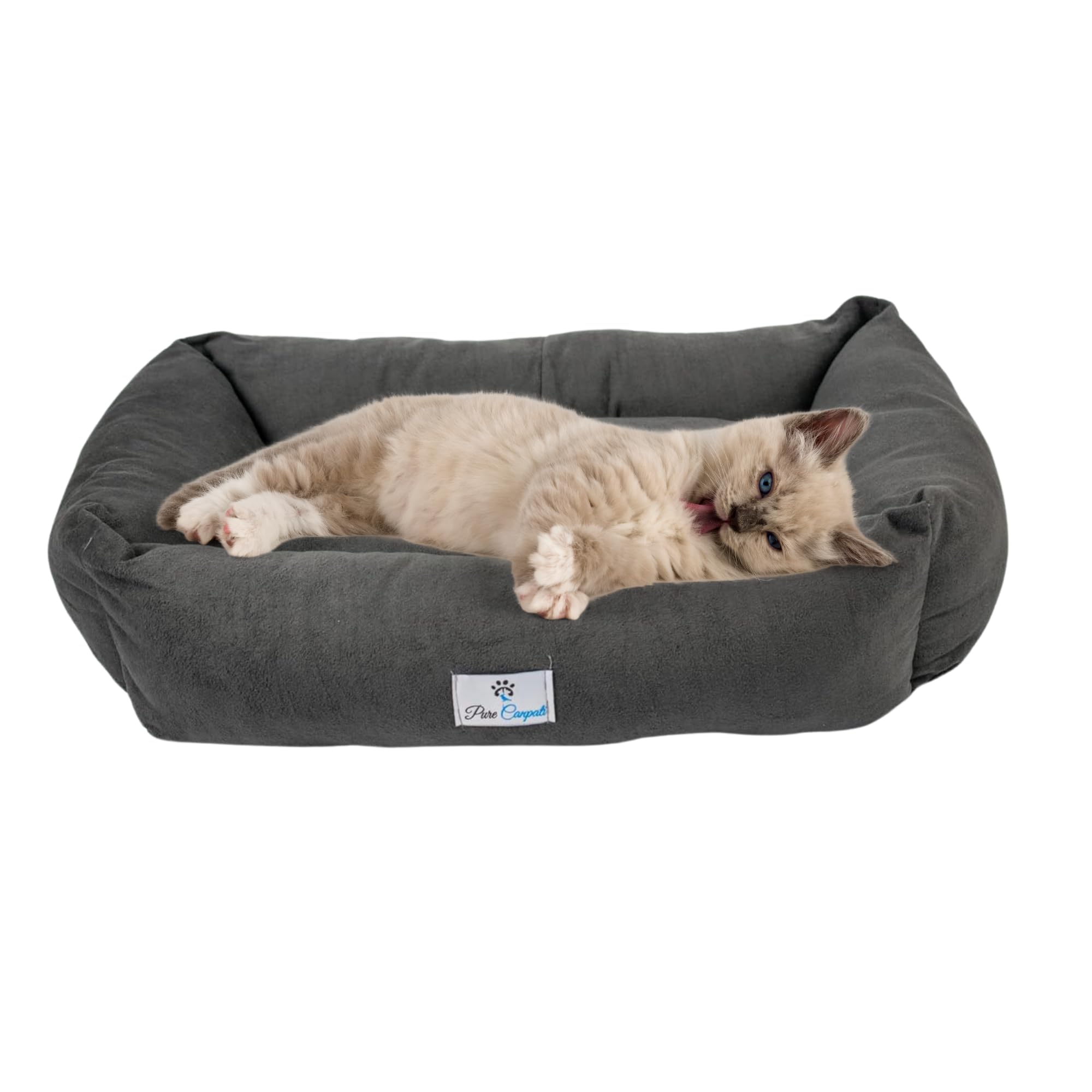 PureCanpati Kedi Yatağı, Küçük Irk Köpek Yatağı 55 cm X 40 cm Antrasit Renk