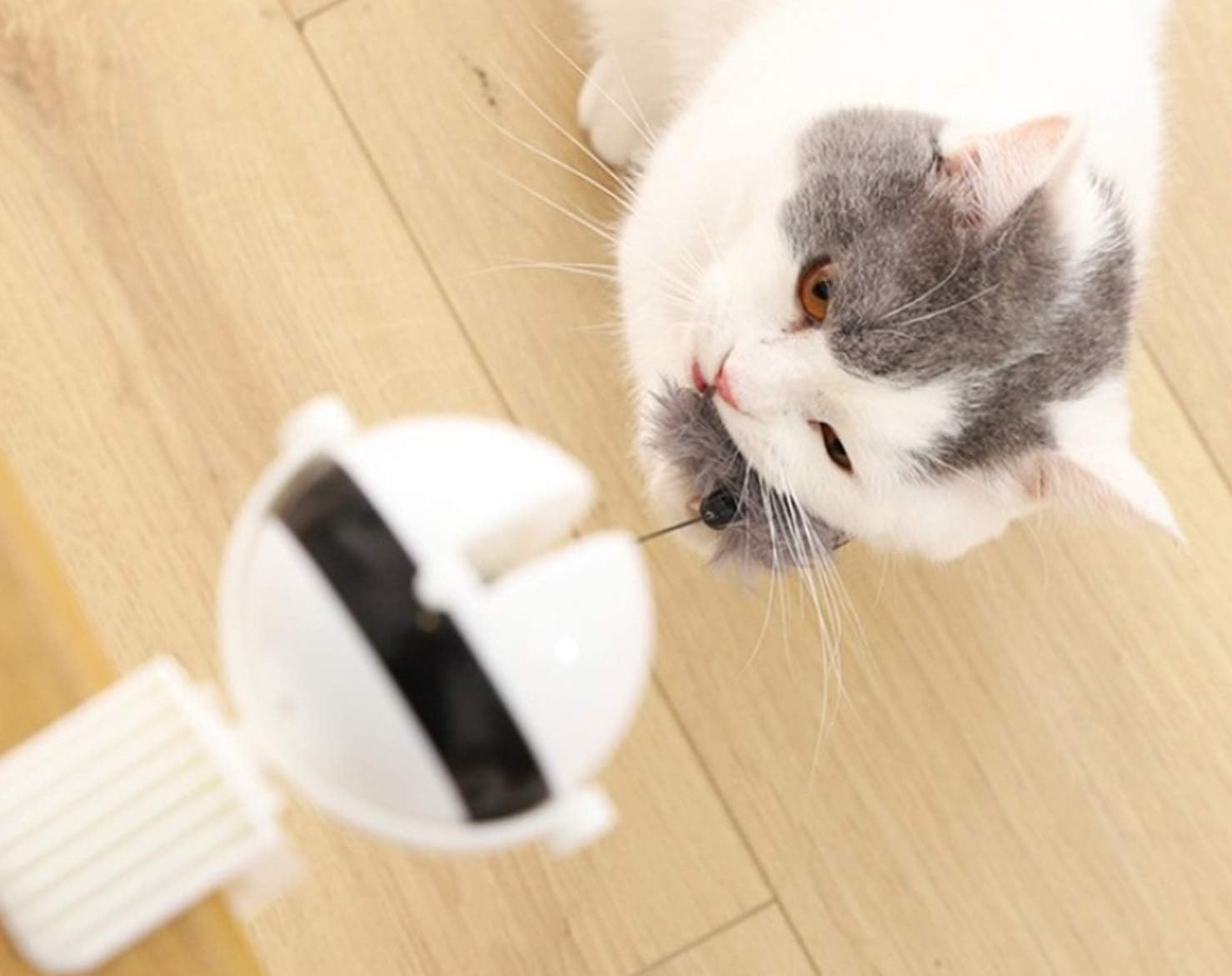 Okidoki Yo-Yo-Ball Cat Fur Drop Toy, Automatic Interactive Cat Feather Toy, for Pet Entertainment Hunting Exercise