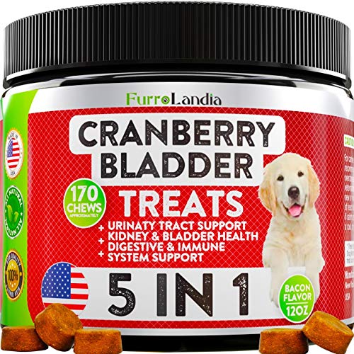 Cranberry Supplement for Dogs - Effective Dog UTI Treatment Food - Cranberry Pills for Dogs - Helps Support Healthy Urinary Tract and Immune System - Bladder Support for Dogs - 170 Soft Chews