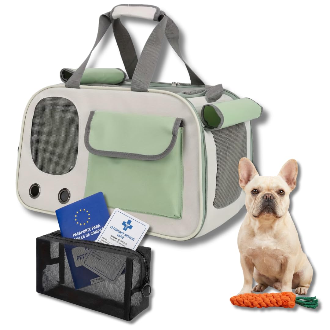 Caisse de transport pliable chiens et chats avec trousse de santé et jouet carotte inclus