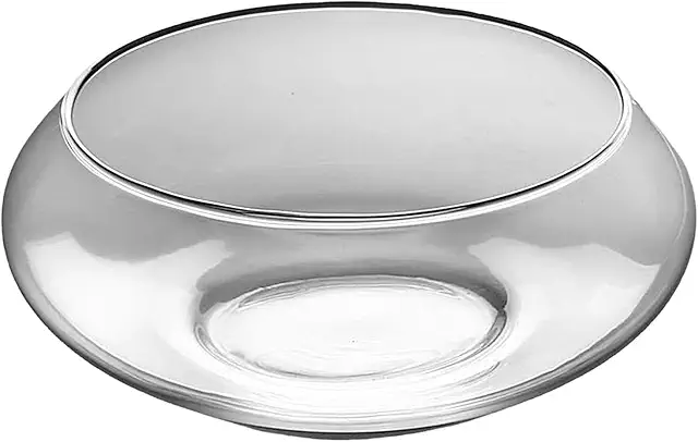 Terrarium Plat en Verre - Grand Pot pour Bonsaïs, Succulentes et Décoration