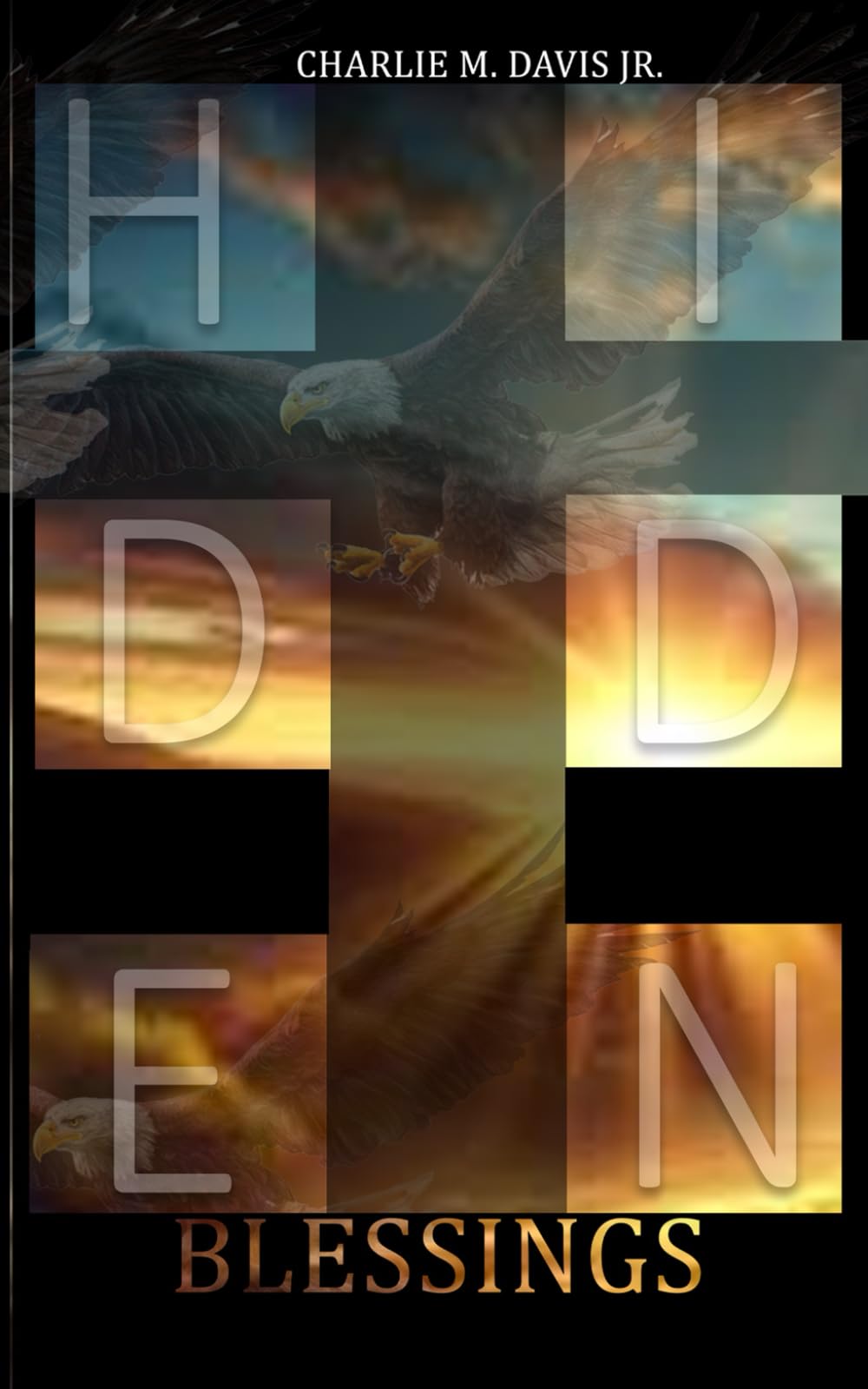 Hidden Blessings: "FINDING YOUR PASSION AFTER EXPERIENCING PAIN."