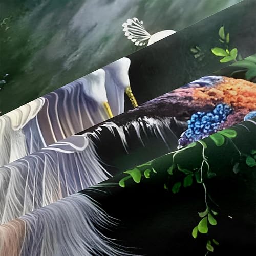 Miniatura 3 de CCoutueChen Juego de edredón de 3 piezas con diseño de plumas de pájaros y animales en una bolsa, tamaño Queen, juego de edredón de pavo real blanco