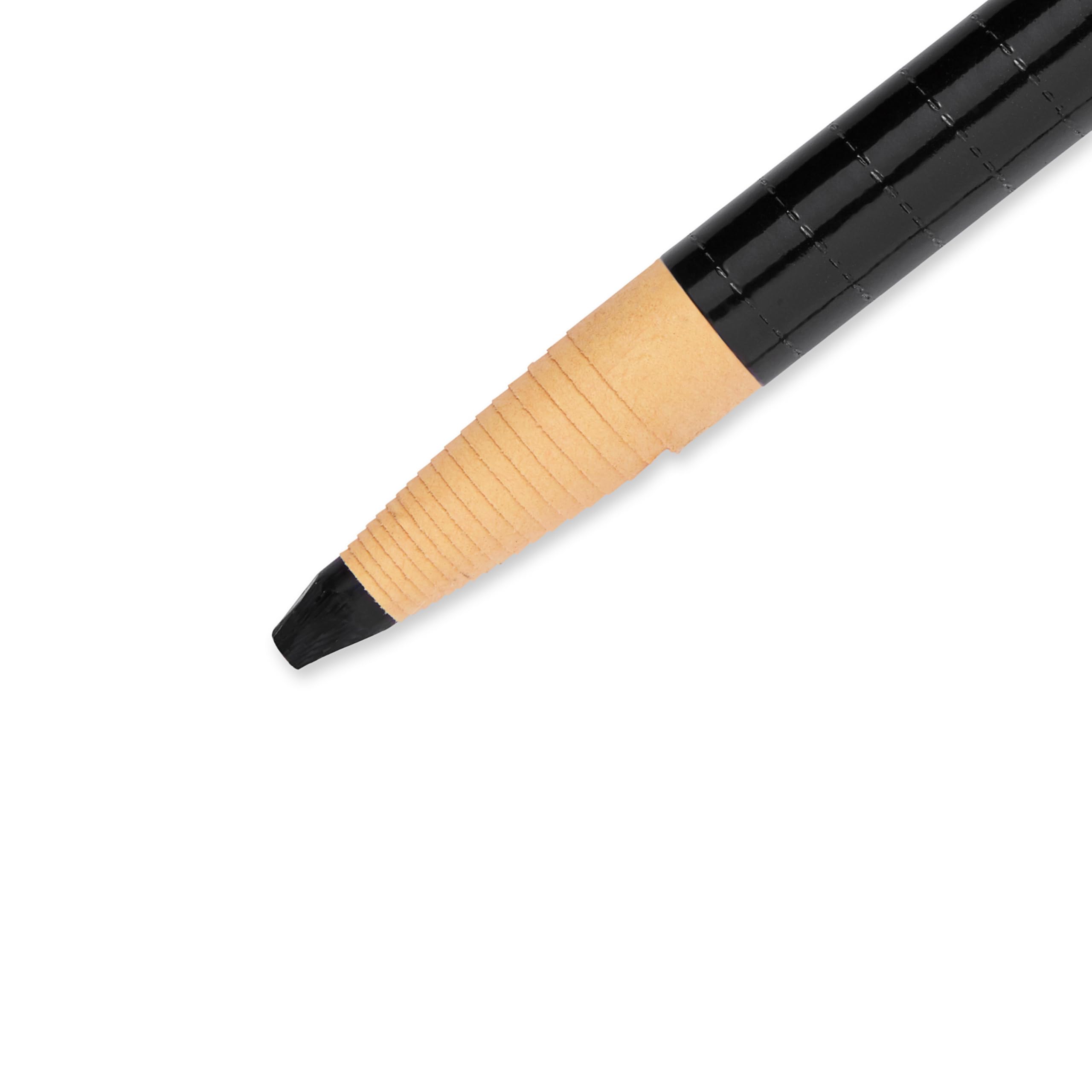 Sharpie Caja de marcadores chinos | punta fina | negro | jeugo de 12