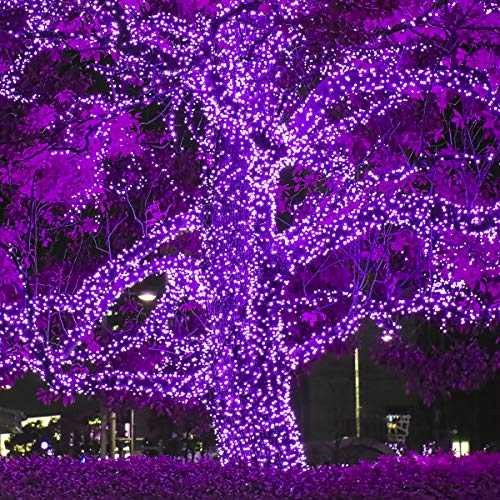 70 5Mm Led Purple Lights, 24' Halloween Lights Christmas Lights Led String Lights Mini Lights Holiday Lights Halloween Decorations Outdoor #TOP4
