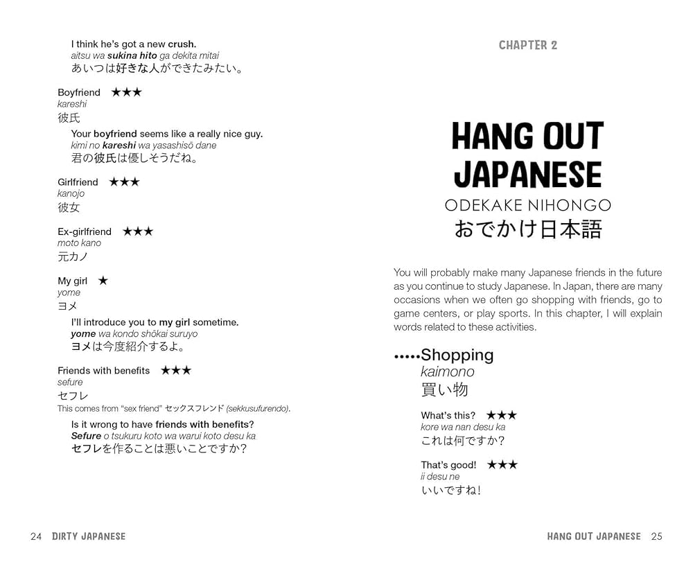 Dirty Japanese, Second Edition: Power Up Your Conversation