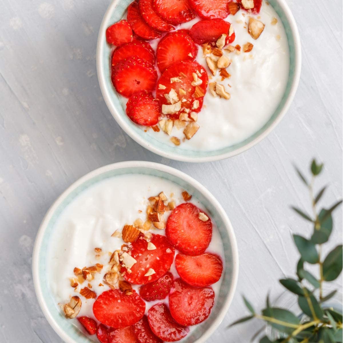 Cultures for Health Skyr Yogurt Starter Culture Egypt Ubuy