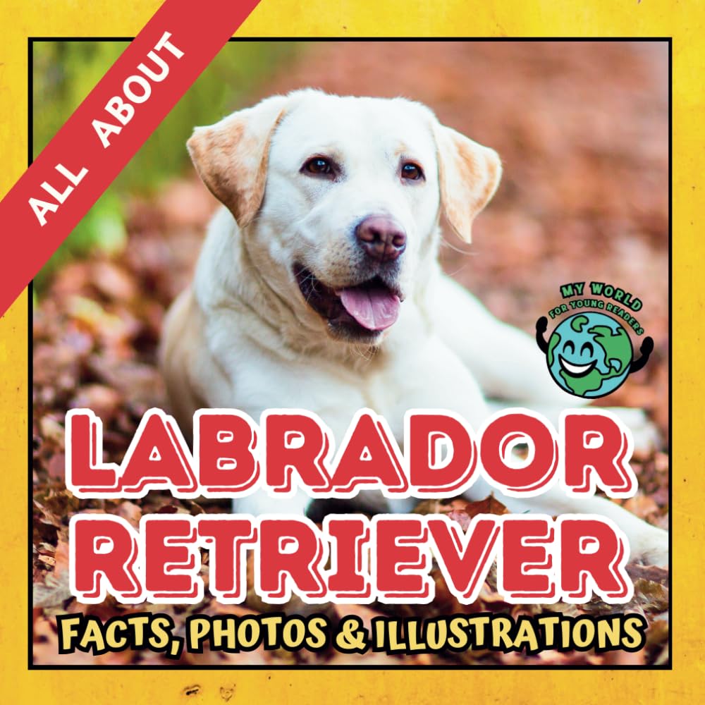 All about the Labrador Retriever | Facts, Photos and Illustrations: A Picture Book for Kids and Toddlers | Screen-Free Infotainment